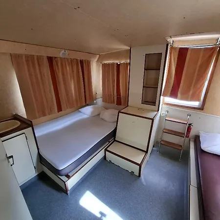 Ablette - Api-1-46-27 Les Hauts-d'Anjou