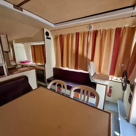 Ablette - Api-1-46-27 Les Hauts-d'Anjou